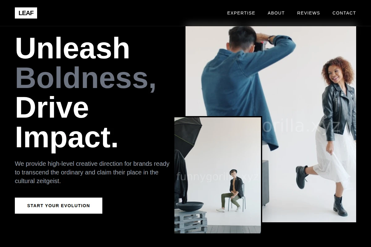 Leaf Creative Direction