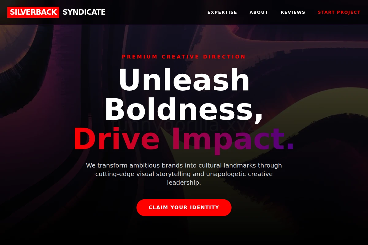 Vivid Creative Direction