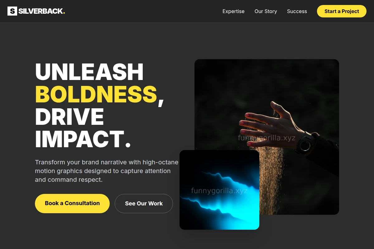 Pulse Motion Graphics