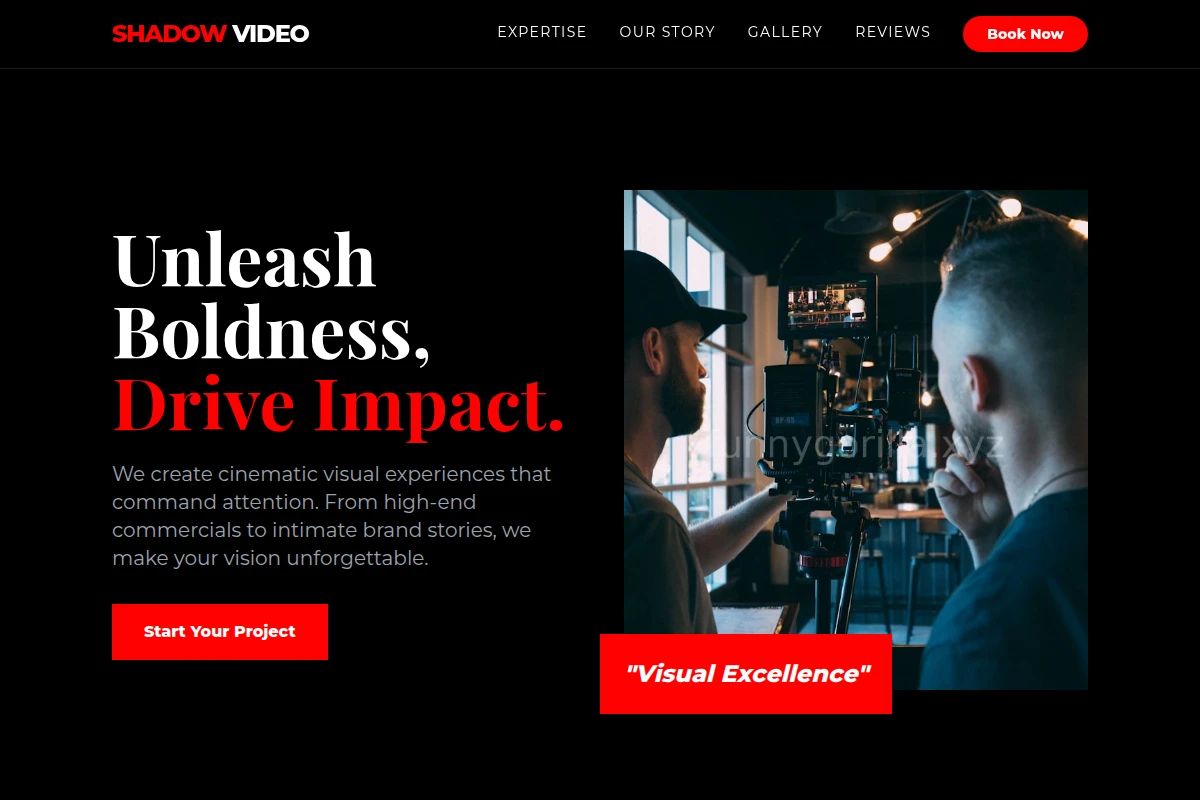 Shadow Video Production