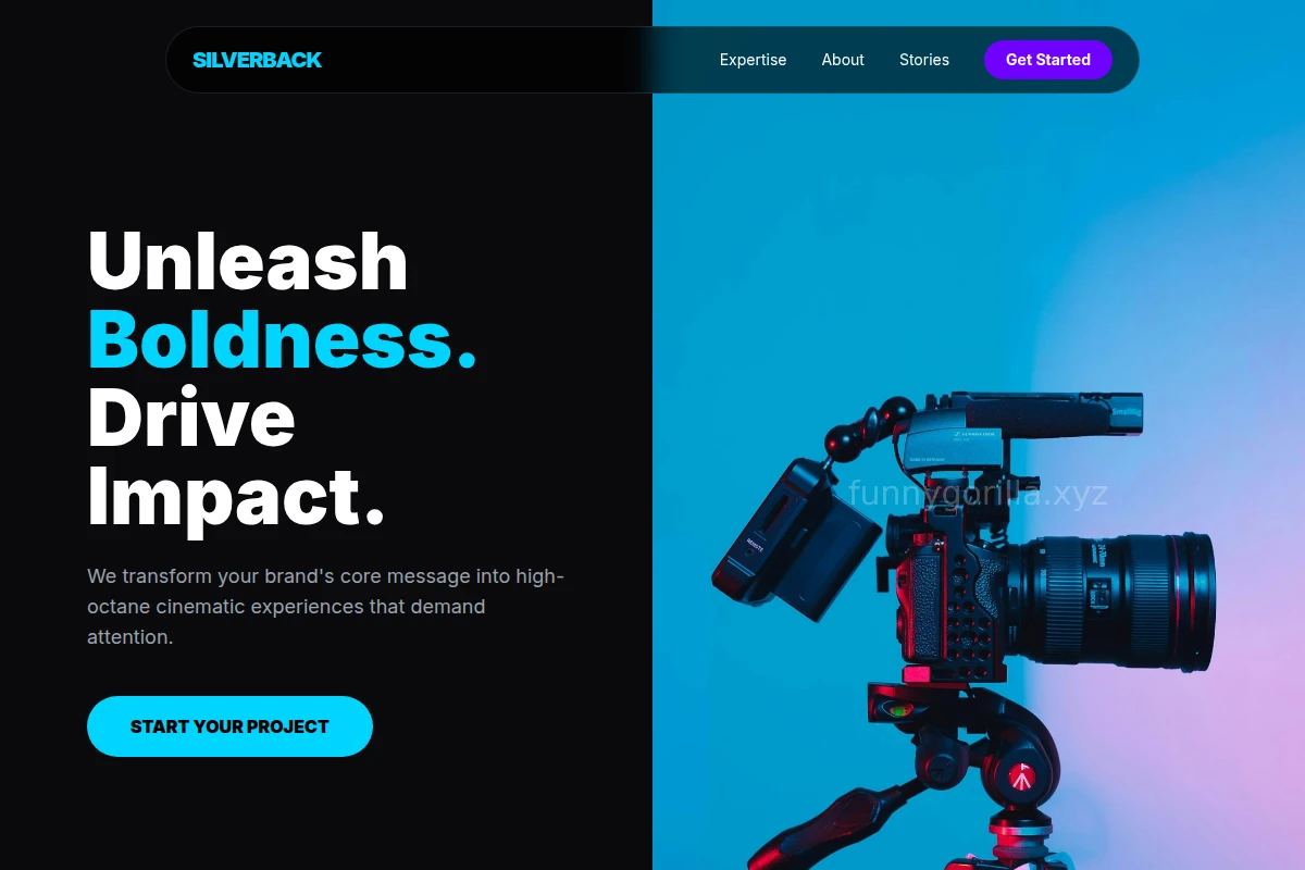 Vine Video Production