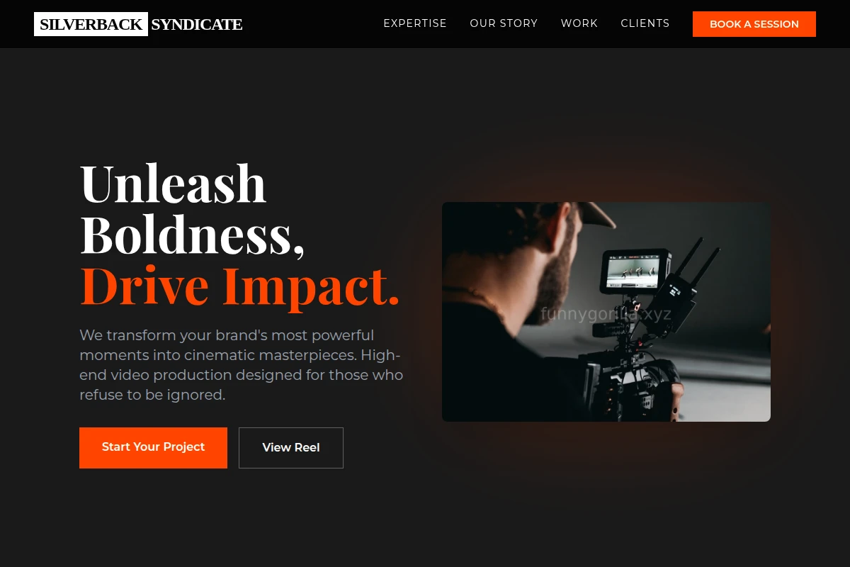 Light Video Production